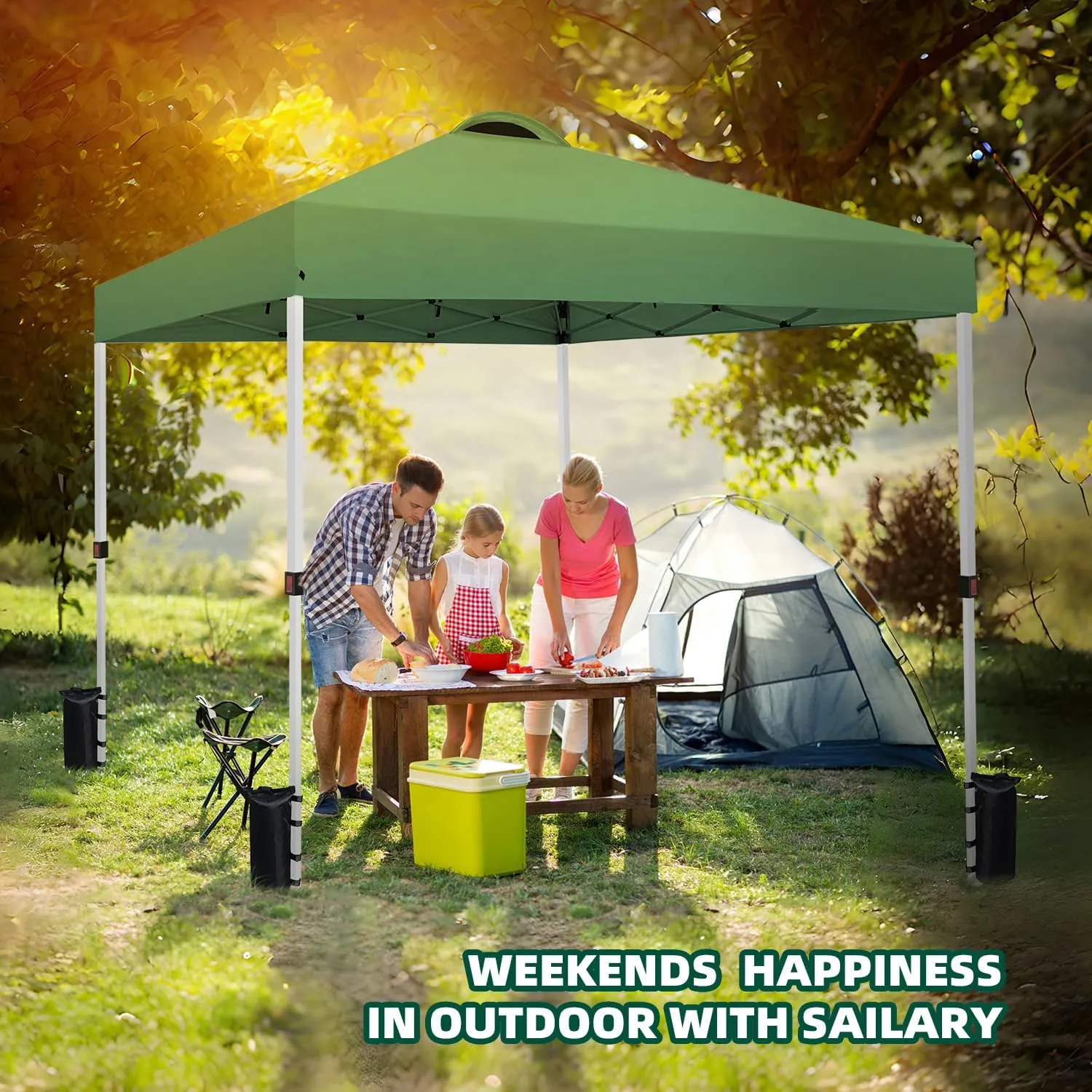 10x10 Pop Up Canopy Tent Party Tent Commercial Instant Canopies Shelter with Heavy Duty Roller Bag, Bonus 4 Sand Bags (Green)