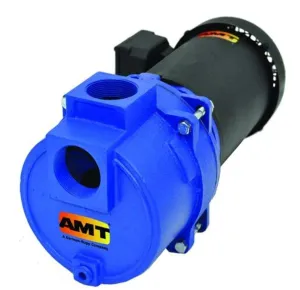AMT Pump 316B-95 Sewage & Trash Pump, Cast Iron, 3 HP, 1 Phase, 230V, Curve A, 2" NPT Female Suction & Discharge Ports