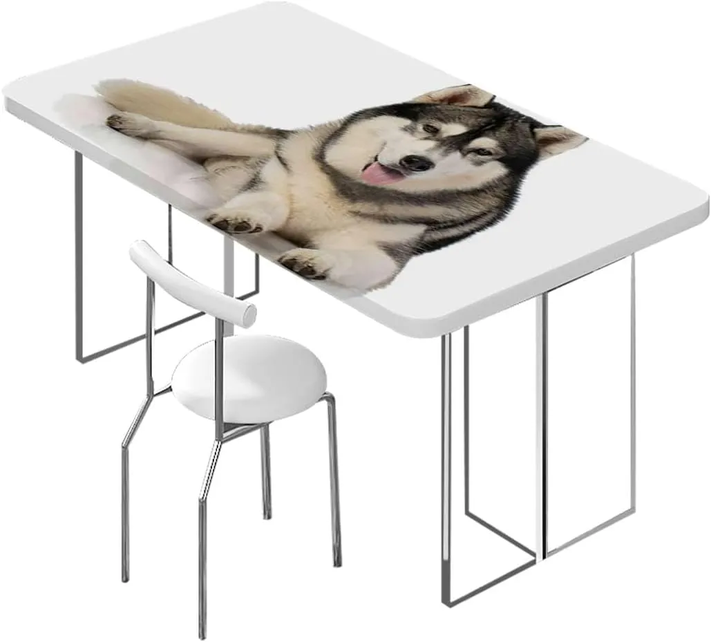 Black Cream White Fitted Tablecloth Arctic Doggies Husky Protector with Elastic for Rectangle Picnic Tables, Washable Alaskan Malamute Fits up 5 Foot Tables