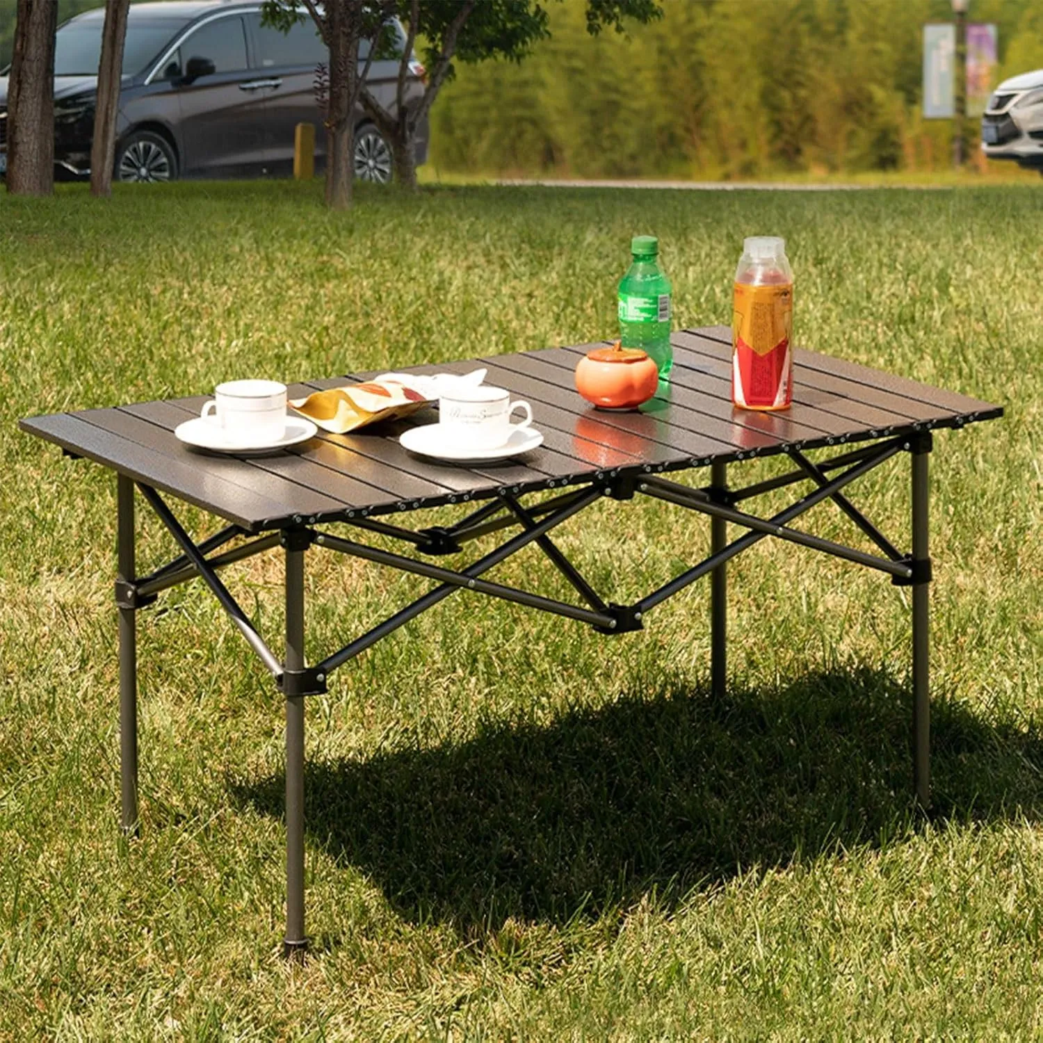 Camping Table Folding Camp Table Roll Up Surface Lightweight,with Carry Bag for Camping, Hiking, Picnics, BBQ, Beach Trips & Tailgating（Folding Chair）