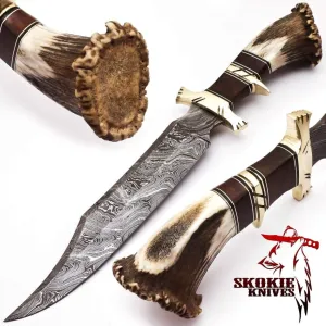 Damascus Steel hunting Knife Stag Antler Handle with Burl Wood & Brass Guard –15” Handmade Premium Quality Sharp Edge Fix Blade - Genuine Multipurpose Knife – Ideal for Hunting, Camping