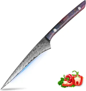Damascus Steel Knife Fillet Knives 5" Handmade Kitchen Knives 67 Layers Damascus Fillet Knives Full Tang Fish Boning Knife Vegetables Slicing Outdoor Cutting Tool