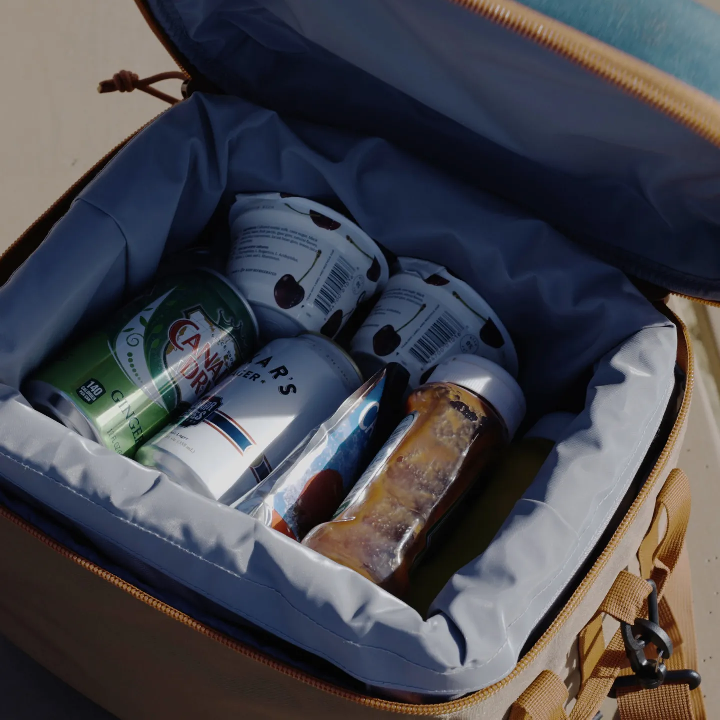 Folding Cooler - 24 Can