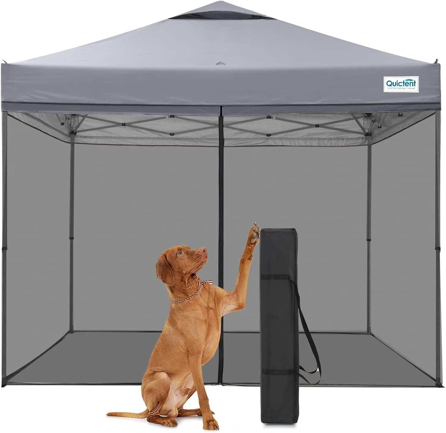 Quictent 10x10 Pop Up Canopy Tent - Instant Setup Gazebo for 1 Person, Portable & Compact, Waterproof & UV Protection, Ideal for Camping, Beach, Parties, and Outdoor Events