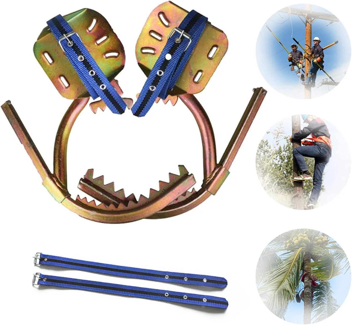 Tree Climbing Gear Kit, Stainless Steel Climbing Tree Spikes, Climbing Trees Tool for Climbing Hunting Observation Picking Fruit,500model